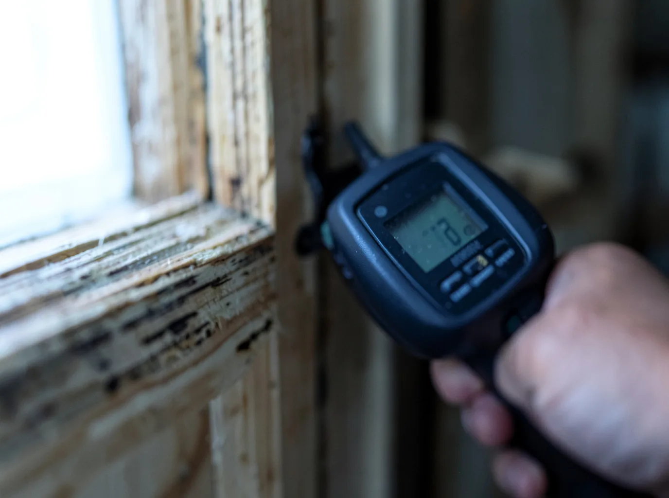 Commercial Water Damage Restoration in Lexington, NY